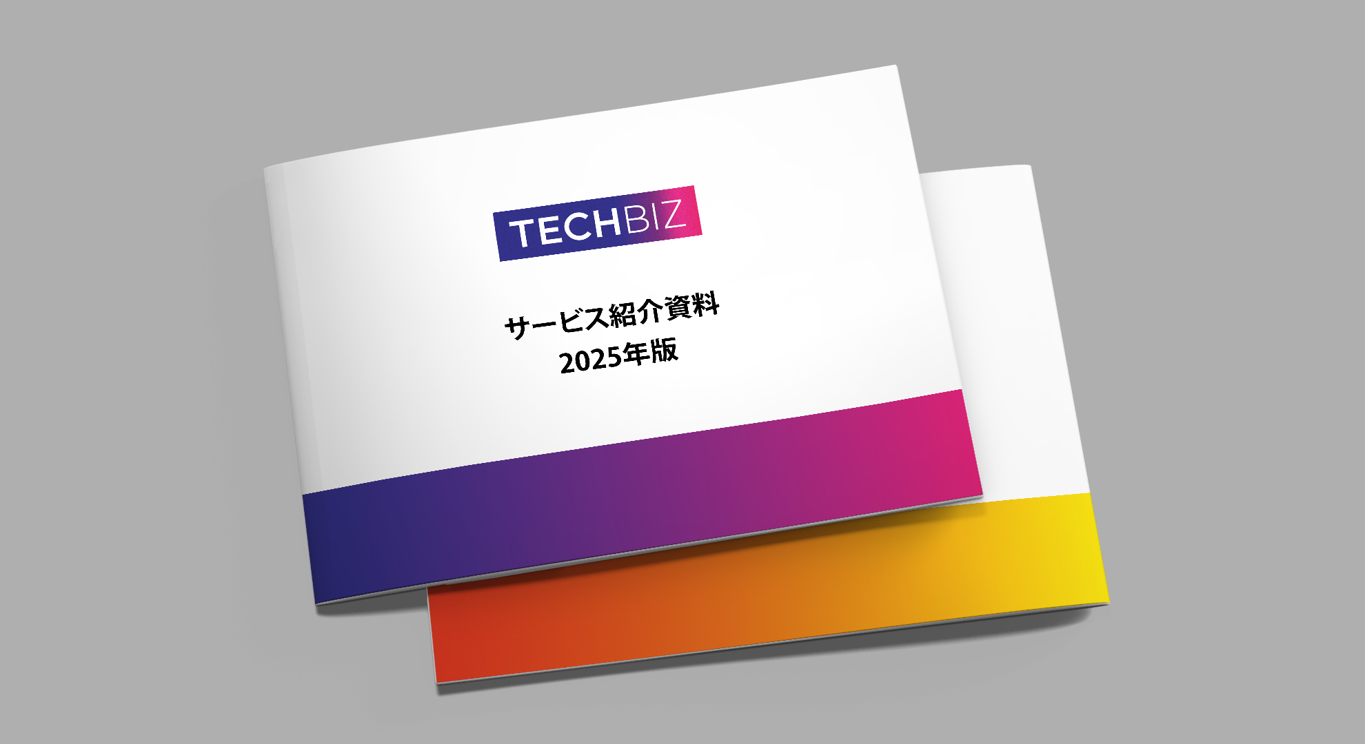 ITエンジニア・人材労務・経理財務・マーケターを探すなら｜TECHBIZ